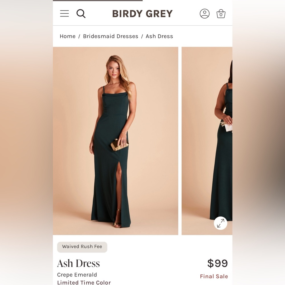 Birdy Grey Floor Length Gown